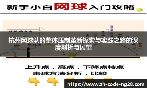 NG28下载