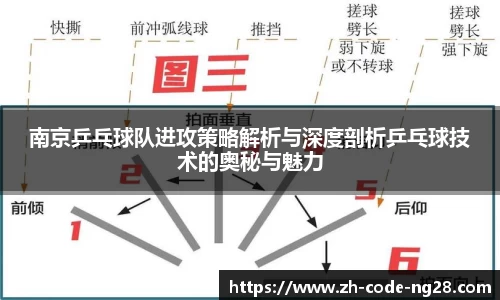 南京乒乓球队进攻策略解析与深度剖析乒乓球技术的奥秘与魅力